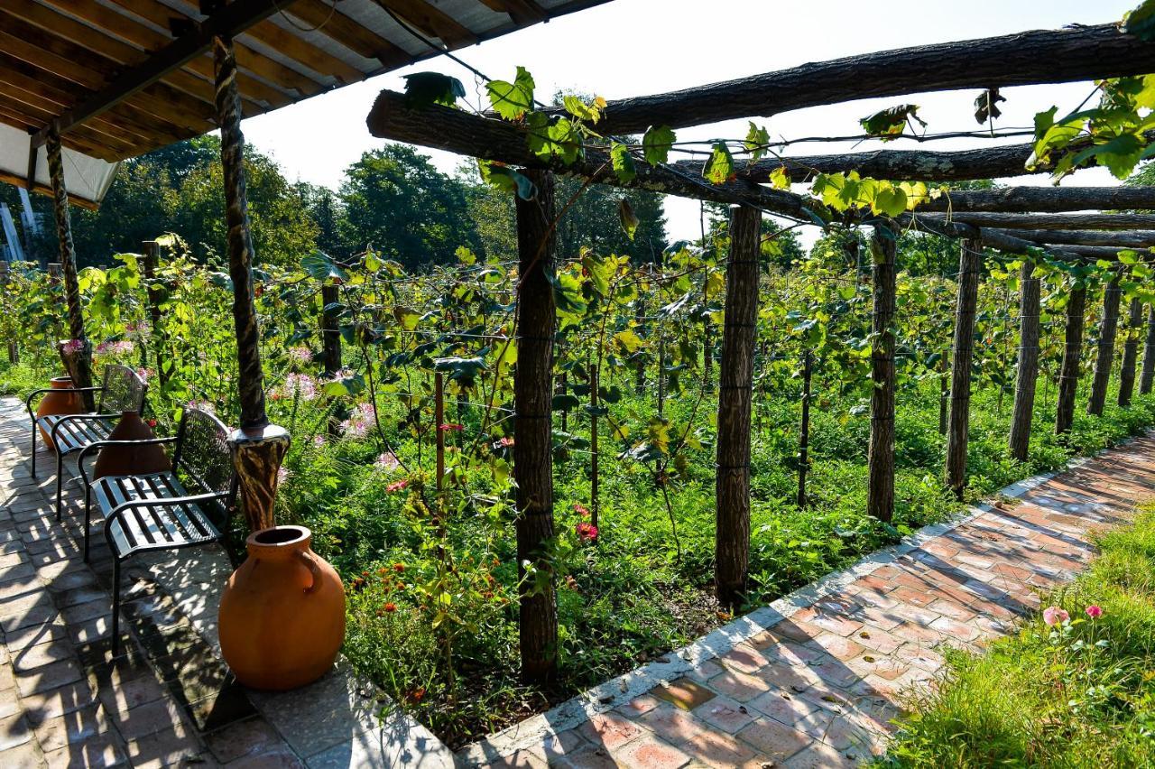 Chateau Chikovani Hotel Gordi Kültér fotó