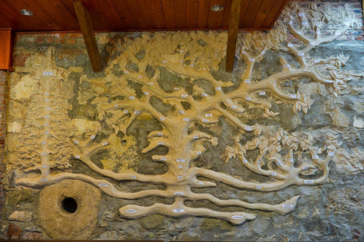 Chateau Chikovani Hotel Gordi Kültér fotó