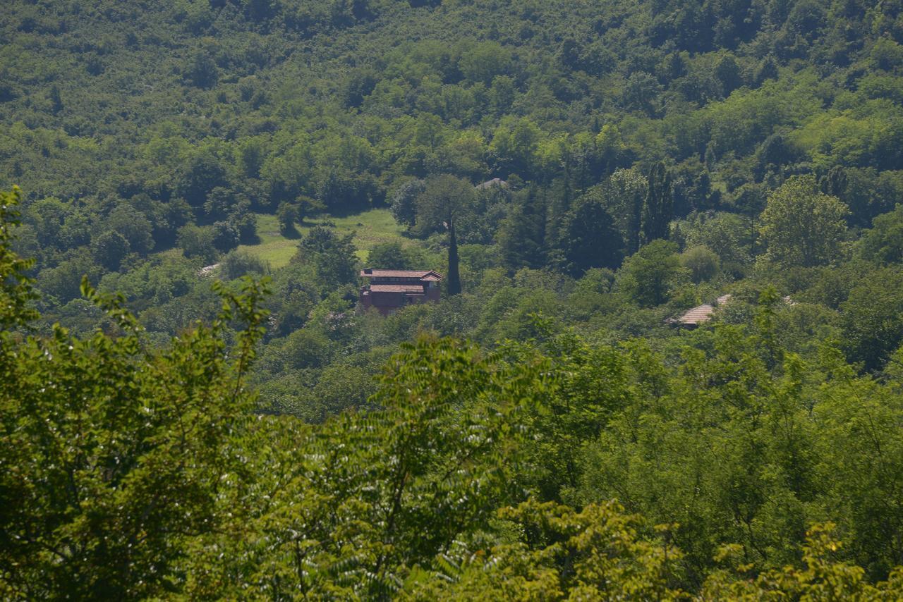 Chateau Chikovani Hotel Gordi Kültér fotó