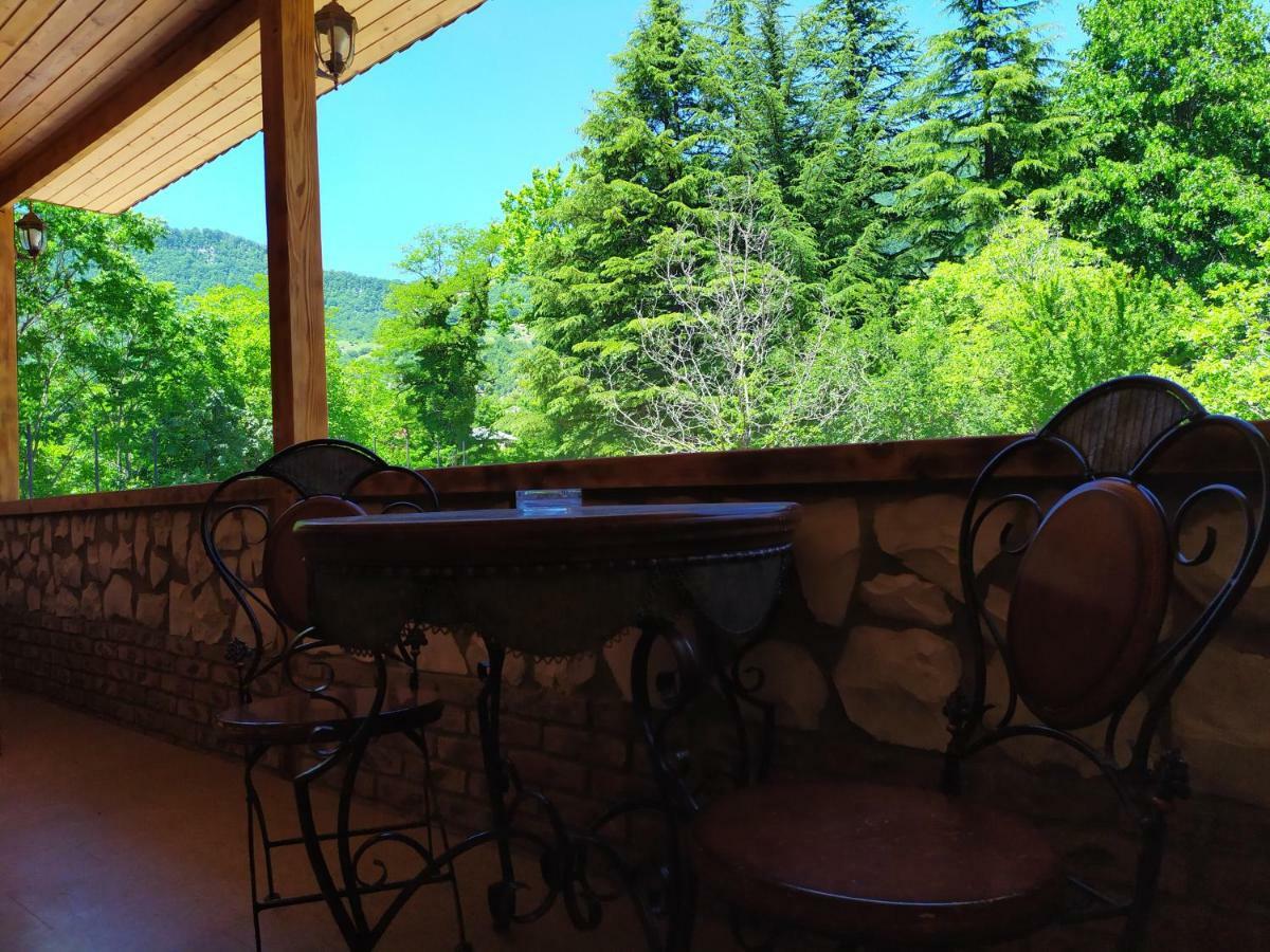 Chateau Chikovani Hotel Gordi Kültér fotó